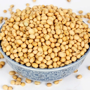 Soja - Product Image 2
