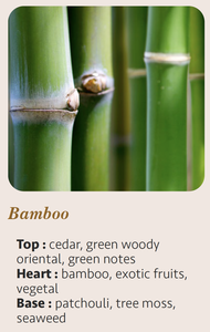 Vela Aromática de Lujo Hecha a Mano, 10cl, Aroma a Bambú y Logotipo Personalizado, Cera Mixta en Cilindro, Hecho en Francia, Decoración para el Hogar - Product Image 5