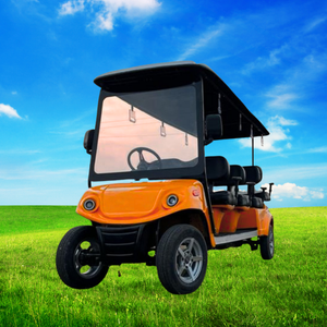 Buggy de golf LuxRide 8 passagers - Product Image 6