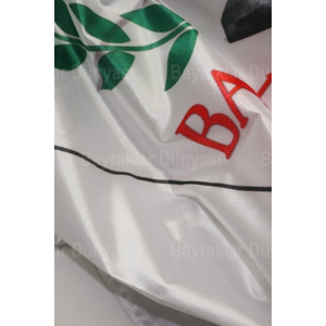 Rachel <b>Banner</b> for Outdoor Events for Business Use - Product Image 3