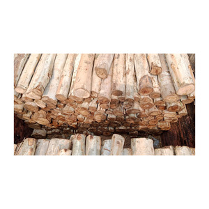 Rosewood <b>logs</b> volume supply with strong durability for furniture - Product Image 6