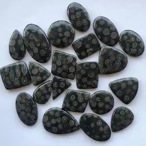 Batu Karang Fosil Hitam Alami Pir Oval Halus Longgar Cabochon-Langsung dari Pemasok Pabrik Grosir Belanja Online Sekarang