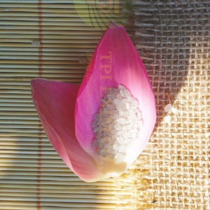 ข้าวญี่ปุ่นบาสมาติกแห้งออร์แกนิคจากเวียดนาม - Product Image 3