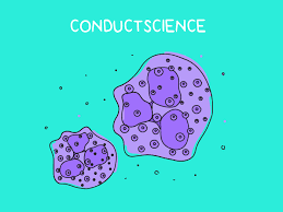 Azul II EOSINE, Productos Químicos Inorgánicos de Grado Industrial de Alta Calidad, Directamente del Fabricante, Reactivos de Laboratorio Finos - Product Image 2