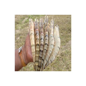 กุ้งกุลาดำแช่แข็งกุ้งราชากุ้งบรรจุภัณฑ์แห้งและอาหารทะเล - Product Image 4