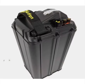 Vélo électrique authentique Light Bee X 2024, batterie au lithium 40Ah 60V, garantie de 3 ans, connectivité USB, son portable - Product Image 2