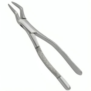 Juego de Instrumentos Dentales para Caballos de Acero Inoxidable REHMAT NOOR INDUSTRY RN-WTEF-001, Equipo Veterinario Equino para Limpieza y Obturación Dental - Product Image 4