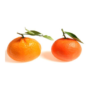 Orgánico Fresh Citrus Fruit Mandarin Orange Precio al por mayor Jugosa naranja a bajo precio - Product Image 6