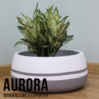 Ventes chaudes, pots à fleurs en fibrociment écologiques de haute qualité, finition peinte, décoration de jardin et de maison, logo personnalisé