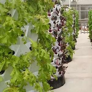 Modernos Sistemas Hidropónicos Inteligentes con Torre Aeropónica para el Cultivo de Cultivos en Interiores - Product Image 1