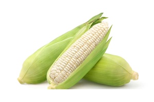 White Corn <b>Seeds</b> for Cattle <b>Packed</b> in Bag - Product Image 2