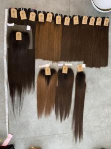 Extensiones de Cabello Humano Remy Vietnamita de Múltiples Donantes, Liso Extremo, Sedoso, Suave, con Puntas Completas Teñidas - Product Image 4