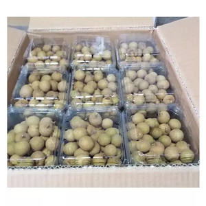 Dulzura durante todo el año Premium Frozen Longan para bebidas y POSTRES HECHOS de fruta natural 100% - Product Image 5