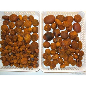 Cálculos biliares secos del buey de la vaca del precio razonable de la mejor calidad disponibles para la venta - Product Image 4