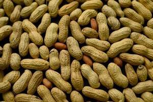 Arachides naturelles brutes séchées, croustillantes, riches en protéines, sans additifs, pour enfants et adultes, à consommer quotidiennement, en vente - Product Image 5