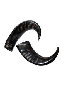 Nourriture pour animaux de compagnie haut de gamme la plus vendue en Inde, friandises pour chiens en corne de buffle naturelle, fabriquées à la main, respectueuses de l'environnement, produit très vendu - Product Image 4