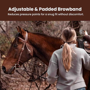Cuello de cabeza de cuero acolchado de alta calidad, latón, negro, marrón, Cob, Halter completo con logotipo personalizado para uso ecuestre - Product Image 4