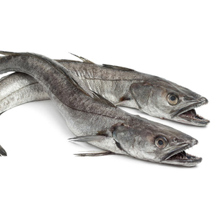 /Poisson de merlu rond entier congelé à vendre - Product Image 4