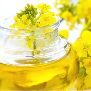 Huile de canola raffinée biologique de qualité supérieure huile de colza pure en stock livraison rapide acheter maintenant au prix de gros - Product Image 3