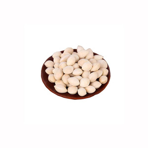 Selling Ginkgo Nuts Fresh <b>Raw</b> Ginkgo Nuts Medical BULK Style <b>Packaging</b> Color <b>Material</b> Natural Half Opened Sales - Product Image 1