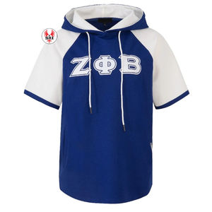Sweat à capuche bleu Zeta Phi Beta avec lettres en coton doux et chenille pour les membres de la sororité Vêtements grecs unisexes élégants - Product Image 2