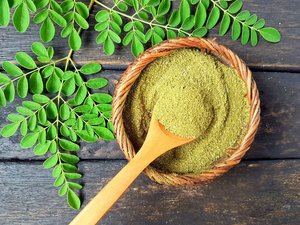 Poudre de feuilles de Moringa de qualité alimentaire, vente en gros, approvisionnement industriel en poudre d'extrait de Moringa pour les acheteurs commerciaux - Product Image 2