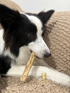 Juguete Masticable de Madera de Café Natural para Perros, Juguete Interactivo de Alta Durabilidad para Limpiar los Dientes, para Uso en Interiores y Exteriores, Muestra Gratis - Product Image 2