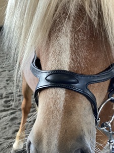 Bride de cheval en cuir anatomique noir brillant, résistante à l'usure, réglable, équipement personnalisable, design international, marque Rub - Product Image 2