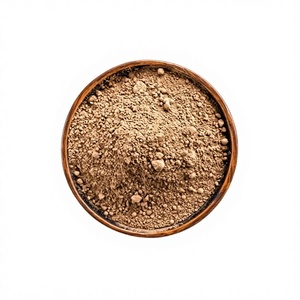 Poudre de cacao naturelle non alcalinisée, 10-12% de matières grasses, qualité alimentaire, en vrac, pour la pâtisserie et les boissons - Product Image 3