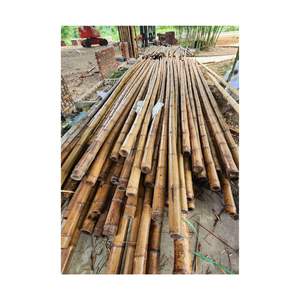 MATERIA PRIMERA DE BAMBÚ DE VIETNAM TRATADO CON CALOR CAÑA DE BAMBÚ VARIOS TAMAÑOS DISPONIBLES POLOS DE BAMBÚ RESISTENTE PARA JARDÍN DE VALLA - Product Image 6