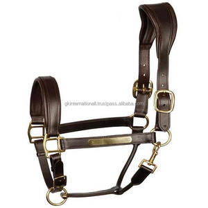 Personalized Brass <b>Name</b> <b>Plate</b> Heavy Duty Anatomically Designed Headpiece Soft Padded Leather <b>Horse</b> Halter in All Custom Sizes - Product Image 1