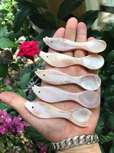 Natural shell <b>spoon</b> and mother of pearl seashell <b>spoon</b> set with wooden <b>serving</b> <b>spoon</b> ideal for luxury dining or catering use - Product Image 6