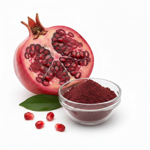 Polvo de Extracto Seco de Granada Finamente Procesado para un Rendimiento Constante en Aplicaciones Alimentarias y Cosméticas - Product Image 2