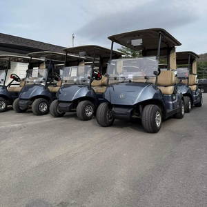 Carritos de golf baratos, limpios y bastante usados, que funcionan con gas, fácilmente disponibles, ahora compre carros de golf diésel baratos en línea, compre carros de golf - Product Image 1