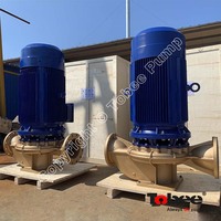 Pompe verticale centrifuge en ligne en Bronze pour l'eau de mer, utilisée pour les usines de traitement de l'eau de mer pour la solution de dessalement de l'eau de mer