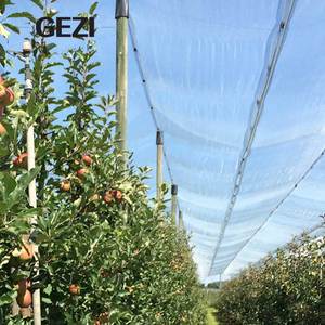 Đen Màu Xanh Trắng Bên Chống-Mưa Đá Net Chống Mưa Đá Bảo Vệ Lưới Dệt Kim Crop Kim Cương HDPE Dệt Cho Vườn Ươm Đất Nông Trại Orchard - Product Image 1