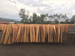 Cheap Price Hot Selling Eucalyptus Wood <b>Veneer</b> Rotary Cut From Vietnam Factory for Construction & Plywood Core <b>Veneer</b> Use - Product Image 2