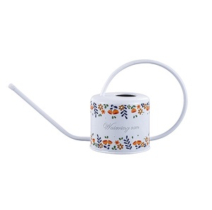 Nouveautés Arrosoir en fer Arrosoir en métal Accents de fer avec revêtement en poudre antirouille pour plantes de jardinage Fleur - Product Image 6