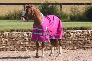 Tapis de participation pour chevaux léger sans remplissage Standard Neck Waterproof - Product Image 6