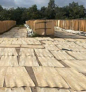 Placages de panneaux pelés prêts en vrac de haute qualité - Product Image 3