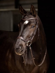 Luxe de qualité anglais Style occidental course équitation licou équestre confortable en cuir véritable cheval bride rêne Logo personnalisé - Product Image 4