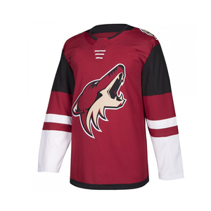 2026 Maillot de hockey sur glace entièrement personnalisable Chemises à manches longues Offre Spéciale Dry Fit Sublimation Hockey sur glace - Product Image 1