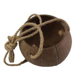 Maceta de cáscara de coco 100% Natural, maceta de planta de fibra de coco, alta calidad y precio barato - Product Image 6