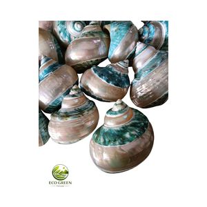 Conchas de Nácar Naturales Pulimentadas, Conchas de Madreperla a Granel para Manualidades, Decoración de Peceras y Acuarios - Product Image 3