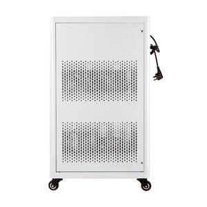 Zeao Ozon <span class=keywords><strong>Generator</strong></span> Fabrikant 10G Ozon <span class=keywords><strong>Generator</strong></span> Met <span class=keywords><strong>Psa</strong></span> Zuurstof <span class=keywords><strong>Generator</strong></span> Voor Voedsel Industrie Vlees Desinfectie - Product Image 3