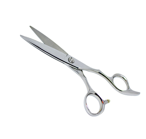 Ciseaux de coupe de cheveux de beauté miroir polonais métal acier Salon professionnel VG10 ciseaux de cheveux avec vis réglable - Product Image 2