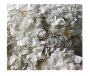 เครื่องชั่งน้ำหนักปลาจากเวียดนามเครื่องชั่งปลานิลและปลากะพงขนาดใหญ่สำหรับคอลลาเจนเจลาตินไคโตซานและอุตสาหกรรม - Product Image 2