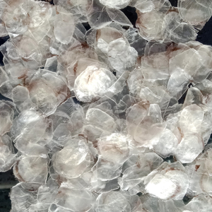 เครื่องชั่งน้ำหนักปลาแบบแห้งจากเวียดนามวัตถุดิบคุณภาพระดับพรีเมียมสำหรับคอลลาเจน - Product Image 6