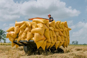 TRACTOR sobre orugas - Product Image 4
