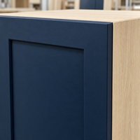 Ensemble d'îlot de cuisine modulaire WYRAX style Shaker avec finition bois, structure en contreplaqué, évier, 5 tiroirs et panier extractible